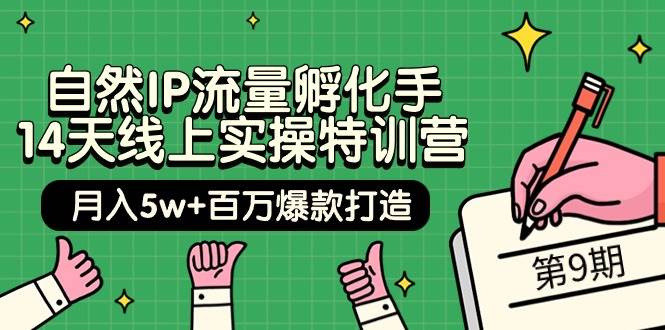 自然IP流量孵化手 14天线上实操特训营【第9期】月入5w+百万爆款打造 (74节)-展望网