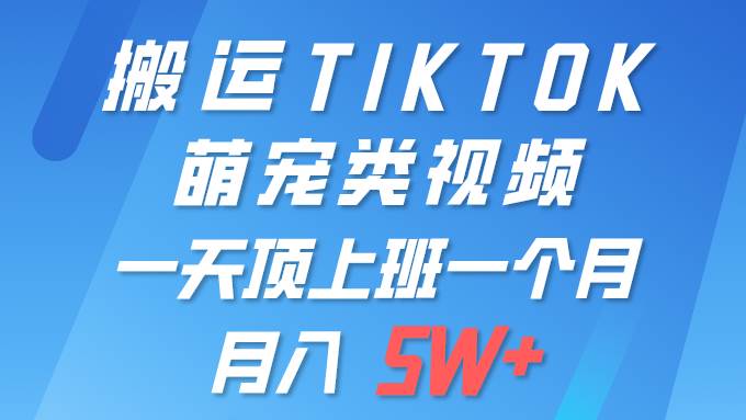 一键搬运TIKTOK萌宠类视频 一部手机即可操作 所有平台均可发布 轻松月入5W+-展望网