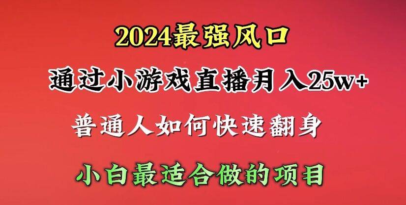 2024年最强风口，通过小游戏直播月入25w+单日收益5000+小白最适合做的项目-展望网