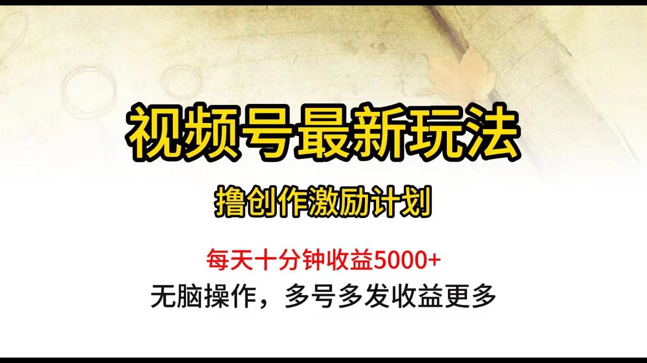 视频号最新玩法，每日一小时月入5000+-展望网