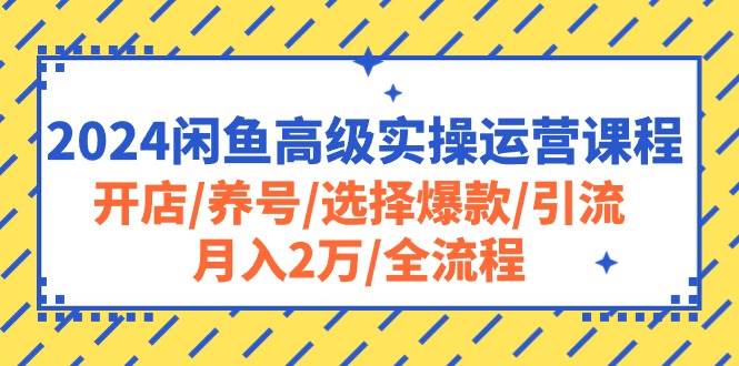 2024闲鱼高级实操运营课程：开店/养号/选择爆款/引流/月入2万/全流程-展望网