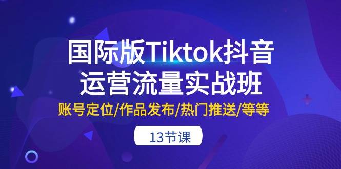 国际版Tiktok抖音运营流量实战班：账号定位/作品发布/热门推送/等等-13节-展望网