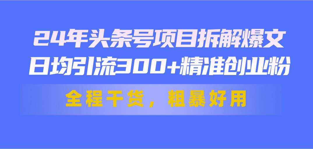 24年头条号项目拆解爆文，日均引流300+精准创业粉，全程干货，粗暴好用-展望网
