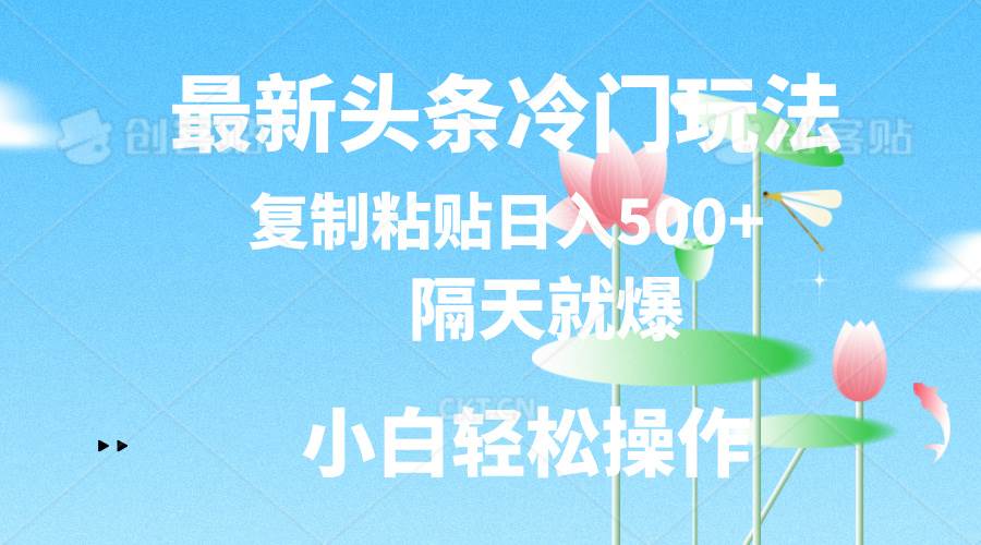 最新头条冷门玩法，隔天就爆，复制粘贴日入500+-展望网
