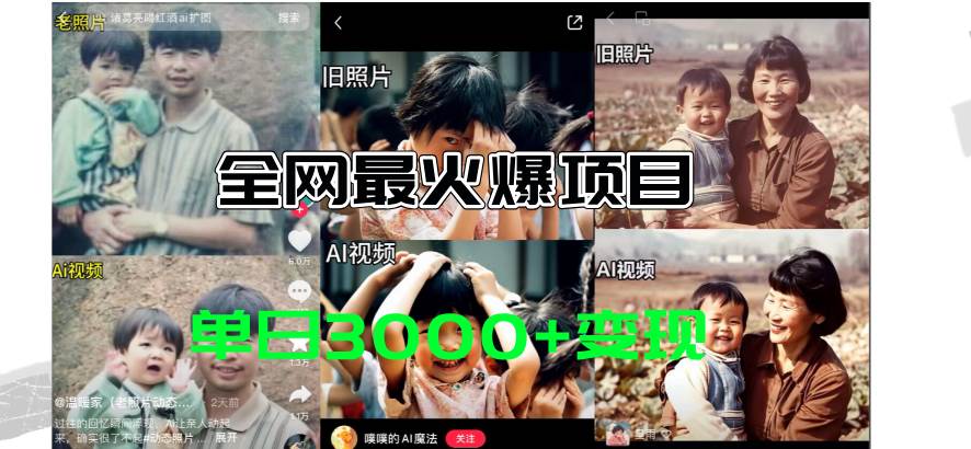 全网爆火的AI让老照片动起来教程，蹭热点日赚3000+，内含免费工具一键...-展望网