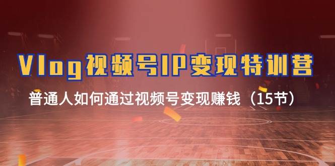 Vlog 视频号IP变现特训营，普通人如何通过视频号变现赚钱（15节）-展望网