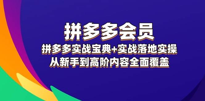 拼多多 会员，拼多多实战宝典+实战落地实操，从新手到高阶内容全面覆盖-展望网