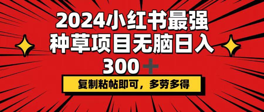 2024小红书最强种草项目，无脑日入300+，复制粘帖即可，多劳多得-展望网
